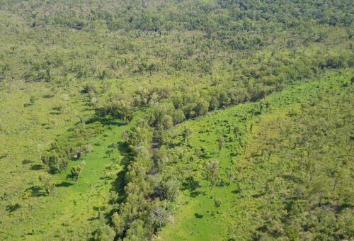 Assessing Mercury Contamination in the Finniss River: Uncovering the Hidden Threat to Traditional Foods and Aquatic Life